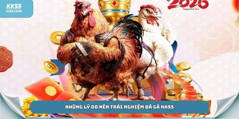 Những lý do nên trải nghiệm đá gà KK55